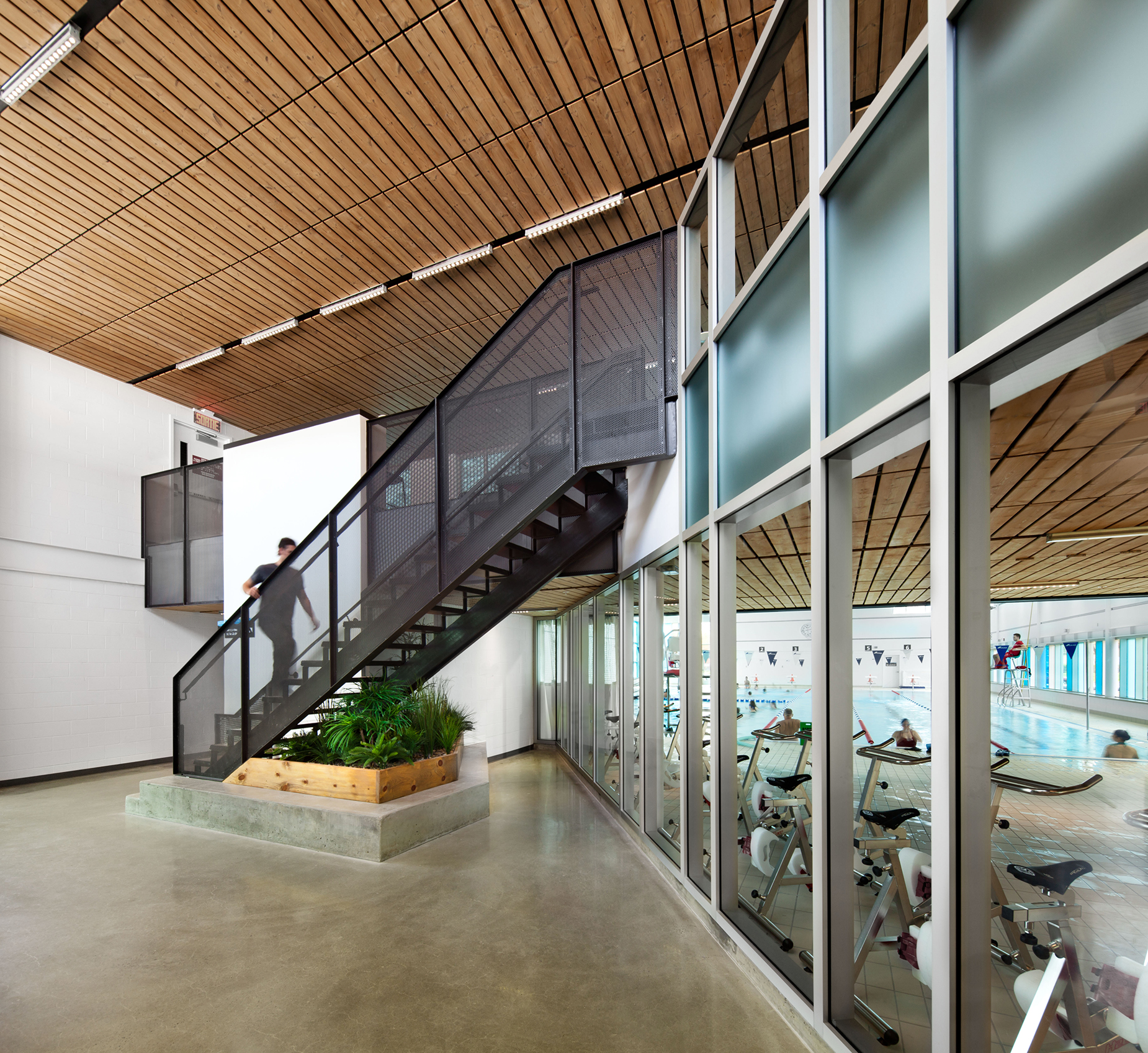 Piscine Annie-Pelletier