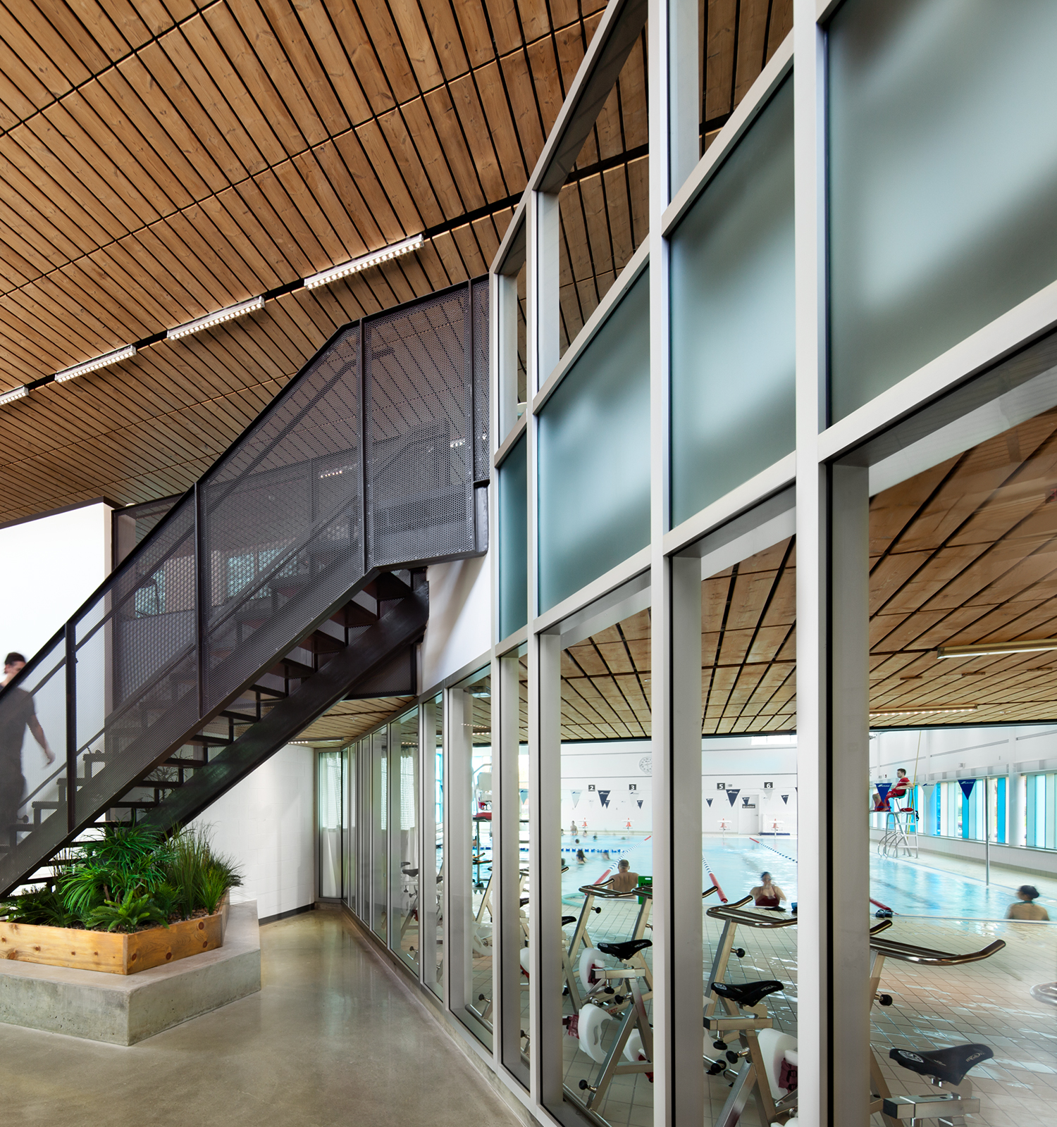 Piscine Annie-Pelletier